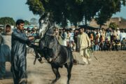 Celebrate Diversity: Cultural Festivals Around the World