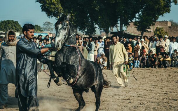 Celebrate Diversity: Cultural Festivals Around the World