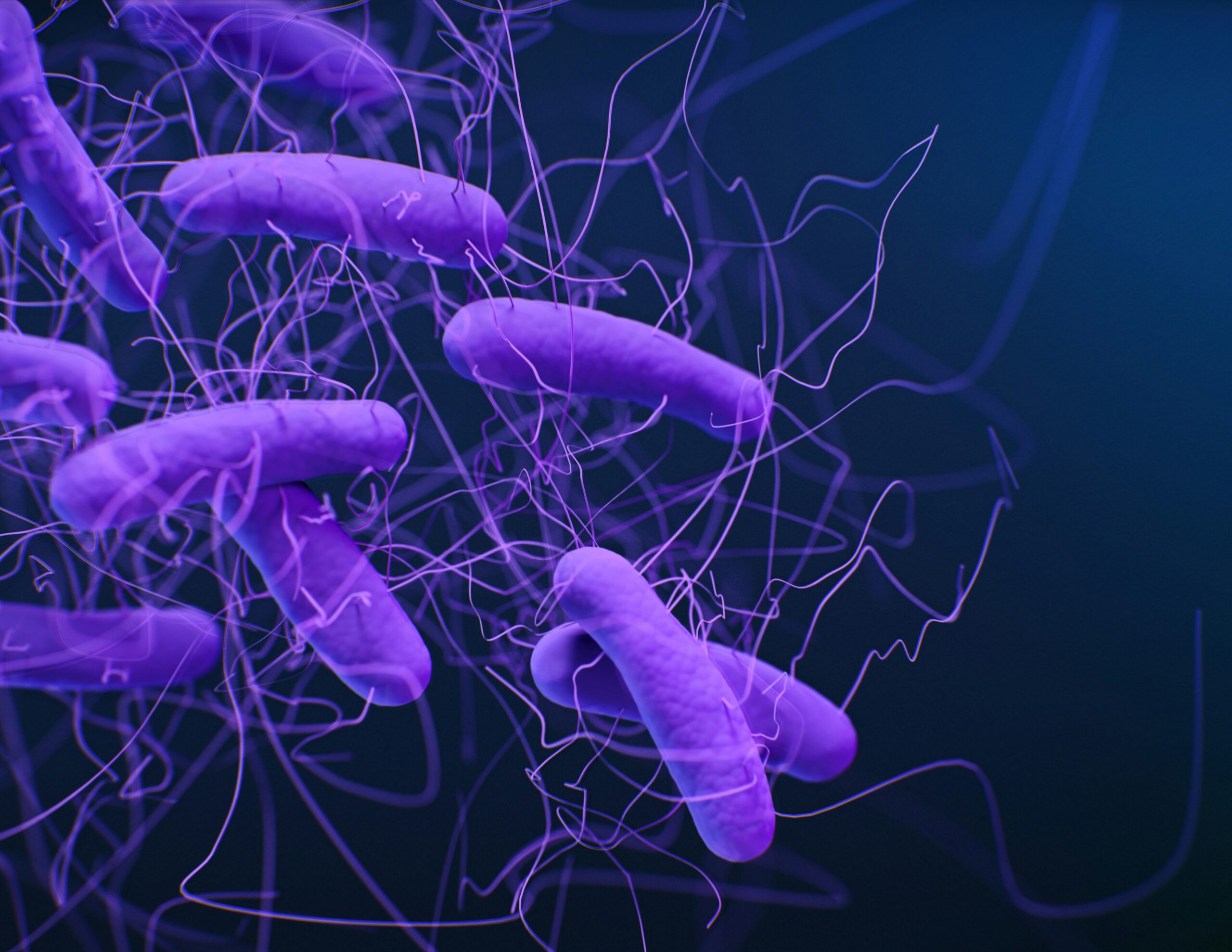 Drug Resistant Salmonella Outbreak: A Growing Threat