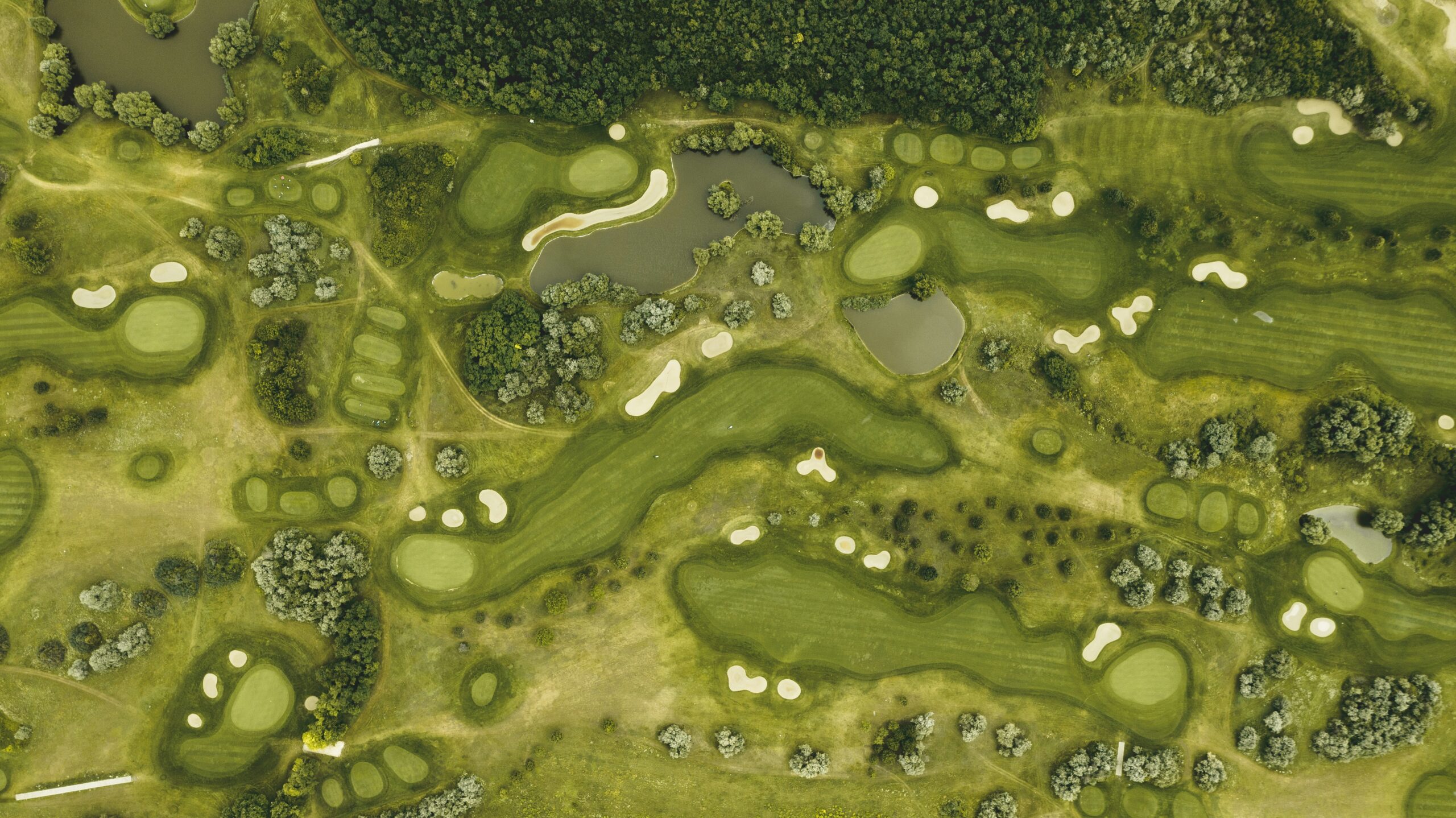 Mastering the Art of Golf: Tips for Improving Your Game
