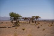 North Africa: Latest News and Updates